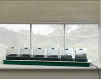 Zimmergew�chshaus f�r Fensterbrett beheizbar