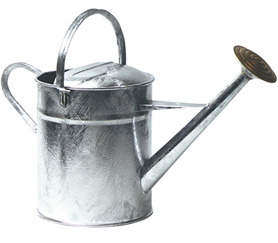 Englische Gie�kanne aus Metall