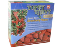 TOPSY TURVY Strawberry Planter H�ngepflanzer Erdbeere