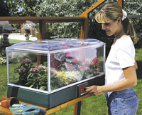 Beheizbares Zimmergew�chshaus der Spitzenklasse